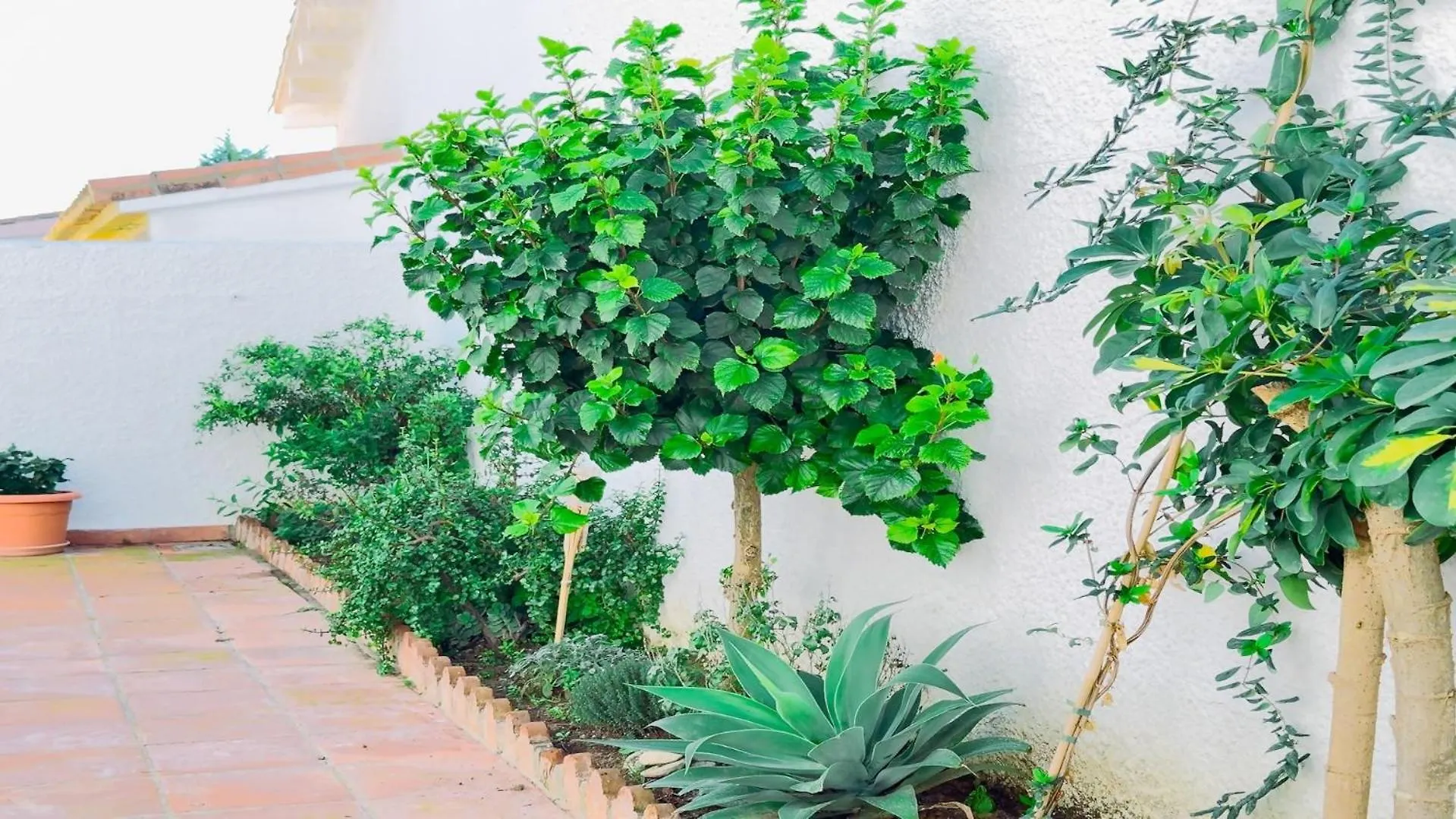 Semesterbostad Vivienda Con Encanto Goya Nº4 Benalmádena