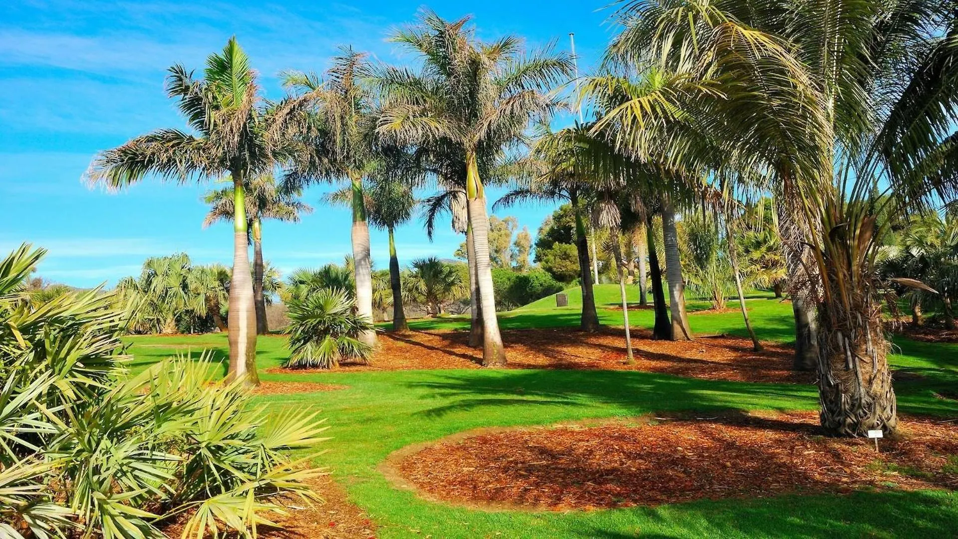 Semesterbostad Vivienda Con Encanto Goya Nº4 Benalmádena